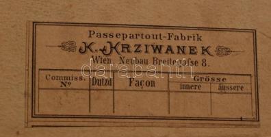 cca 1885 Nagyméretű családi fotó a XIX. század végéről, Krziwanek bécsi műterméből, 24x31 cm, karton...