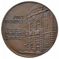 Fritz Mihály (1947-) DN "Szegedi Nemzeti Színház / Varga Mátyás" Br emlékérem (272,4g/100m...