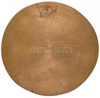 Veszely Jelena (1917-) 1986. "Frim Jakab 1852-1914" Br emlékplakett, hátoldalán gravírozva...