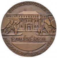 Soltra Elemér (1922-2013) 2002. "Zipernowsky Károly / Zipernowsky Károly emlékérem Műszaki Szak...