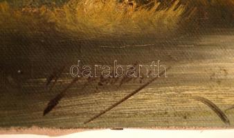 Olvashatatlan jelzéssel: Vízparti ház, olaj, vászon, 20x30cm