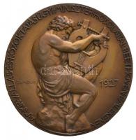 Reményi József (1887-1977) 1927. "Beethoven halálának zzázadik évfordulójára" Br emlékérem...