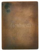 Telcs Ede (1872-1948) 1906. "Popper Dávid" Br szögletes emlékplakett (50x38mm) T:2 kis ph....