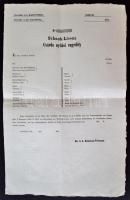 cca 1850 Kecskemét,  Csárda nyitási engedély kitöltetlenül. / cca 1850 Licence for opening an inn