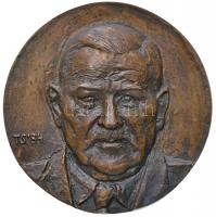 Tóth Sándor (1933-) 1984. "Szabolcs-Szatmár Megyei Tanács Turi Sándor díja" Br emlékérem (513g/98mm) T:2 /  Hungary 1984. "Sándor Turi award of the Szabolcs-Szatmár County Council" Br commemorative medal. Sign.: Sándor Tóth (513g/98mm) C:XF