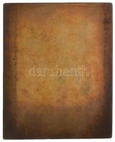 Ausztria ~1910. "Beethoven" Br szögletes plakett. Szign.: Franz Stiasny (126,57g/65x53mm) ...