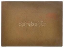 Ausztria ~1900. "Filius Meus (Fiam)" Br plakett. Szign.: Weinberger (107,46g/53x72mm) T:2 ...