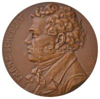 Német Birodalom 1906. Franz Schubert 1797-1828 Br emlékérem peremen B. H. MAYER PFORZHEIM és BRONZE jelzéssel. Szign.: Rudolf Mayer (106,42g/60mm) T:1- / German Empire 1906. Franz Schubert 1797-1828 Br commemorative medallion with B. H. MAYER PFORZHEIM and BRONZE mark on the edge. Sign.: Rudolf Mayer (106,42g/60mm) C:AU