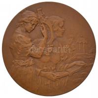 Német Birodalom 1906. "Franz Schubert 1797-1828" Br emlékérem peremen "B. H. MAYER PF...