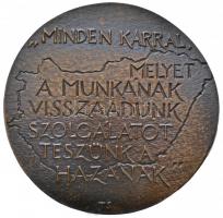 Tóth Sándor (1933-) 1977. "Korányi Frigyes - Nagykálló 1827 december 10. - 1977" / 'M...