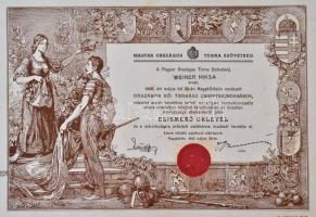 1940 Magyar Országos Torna Szövetség elismerő oklevele. 33x25 cm
