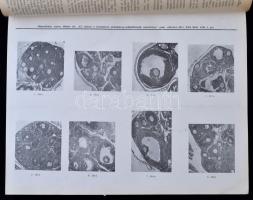Orvostudományi Közlemények 1940 I. évfolyam 1-12. szám. Félvászon kötés, 376 p. A borítója kopott. A...