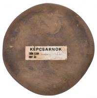 Osváth Mária (1921-) 1974. "Szent-Györgyi Albert" Br egyoldalas plakett (96mm) T:2