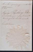 1876 Őcsászári és Apostoli királyi Felsége kinevezi Papházy Pétert a beregszászi királyi törvényszék...