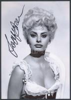 Sophia Loren (1934-) olasz filmszínésznő aláírása az őt ábrázoló fotón / autograph signature