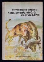 Kittenberger Kálmán: A Kilima-ndzsárótól Nagymarosig. Budapest, 1956, Ifjúsági Könyvkiadó. A borítója kopottas.