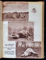 Kittenberger Kálmán: Kelet-Afrika vadonjaiban. Harmadik kiadás. Budapest, É.N., Ifjúsági Könyvkiadó....