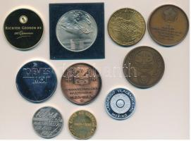 9db vegyes magyar és 1db külföldi emlékérem, közte 1979. "A Magyar Tanácsköztársaság 60. évford...