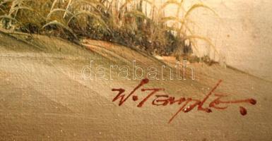 Temple jelzéssel: Madarak a parton. Olaj, sérült, vászon, keretben, 30×40 cm