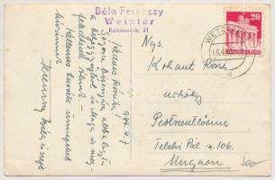 cca 1920-1950 6 db fénykép ill. fotólap aranyos kutyákról