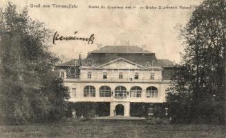 Temesújfalu, Neudorf; Gróf Zselénszky kastélya / castle (r)