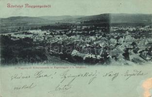 1899 Nagyenyed, Aiud; látkép / general view (felületi sérülés / slight surface damage)