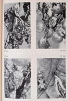 Ubrizsy Gábor - Reichart Gábor: Természeti Növényeink védelme. Budapest,1958, Mezőgazdasági Kiadó. K...