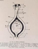 Dr. Villax Ödön: Növénynemesítés. I. Általános Növénynemesítés. Több színes és fekete-fehér képpel i...