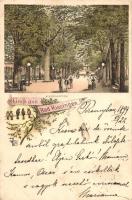 1899 Bad Kissingen, Kurgarten / cure garden, litho