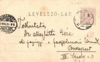 1899 Gyulafehérvár, Karlsburg, Alba Iulia; Oláh cigány, utca részlet. Palocsay kiadása / gypsy, stre...