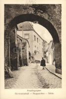 Nagyszeben, Sibiu, Hermannstadt; Pempfilngergasse, kiadja Emil Fischer / street (apró tűnyom / pinhole)