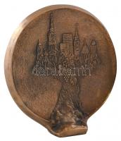 DN "Bács-Kiskun" kétoldalas öntött Br kisplasztika (125x129mm) T:2