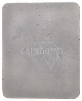 1976. "Dr Bacsó Károly - 10év" ezüstözött Br plakett (109x89mm) T:2 ph