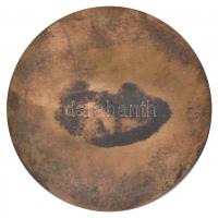 Bartos Endre (1930-2006) DN "Hirschler Ignác 1823-1891" egyoldalas Br plakett (108mm) T:2