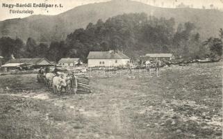 Nagybáród, Borod; Erdőipari Rt., Fűrésztelep / forest industry, saw mill