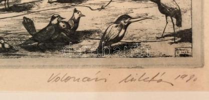 Kolozsvári Grandpierre Miklós (1950-): Madárijesztő. Rézkarc, papír, jelzett, üvegezett keretben, 19...