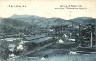 Salgótarján, Hirsch és Frank gyár, Palackgyár, Villanytelep, Téglagyár (b)