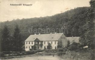 Feketeerdő üveggyár / glass factory (EM)