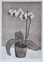 L. Paulowics jelzéssel: Virág cserépben, papír, rézkarc, jó állapotban, 28x19cm