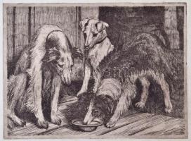 Jelzés nélkül: Kutyák, papír, rézkarc, az egyik sarka gyűrött és a hátoldala maszatos, 25x35cm