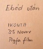 Cicák ebéd után, jelzetlen fotó, 16x23 cm