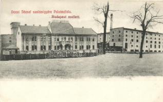 Budapest XV. Rákospalota, Palotaújfalu; Dozzi József szalmiagyára