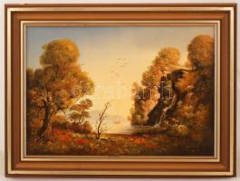 Hiller Ágoston (?-?): Vízpart, olaj, farost, jelzett, fa keretben, 33,5×48,5 cm