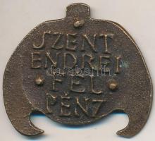 Asszonyi Tamás (1942-) DN "Res Publica Szentendre / Szentendre fél pénz" Br plakett (35x40...