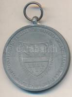 1940. "Erdélyi részek felszabadulásának emlékére" cink emlékérem mellszalag nélkül. Szign....
