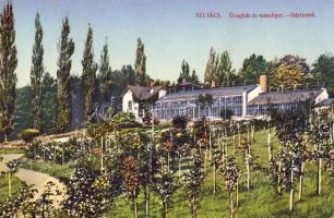 Szliács üvegház, rózsaliget