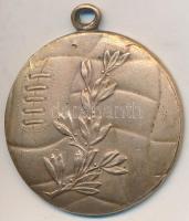 ~1930-1940 "II. Rákóczi Ferenc Felsőkereskedelmi" iskolai Br labdarúgó díjérem "LUDVI...