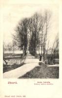 Zboró, Száz hársfa, II. Rákóczi Ferenc kedvenc sétahelye, kiadja Divald Adolf / linden, promenade