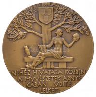 Beck Ötvös Fülöp (1873-1945) 1934. "Dr. Tóth István" Br emlékérem. "TÓTH ISTVÁN DR. E...