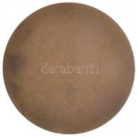 Madarassy Walter (1909-1994) 1937. "Budapesti Királyi Orvosegyesület Centenáriuma" Br emlé...